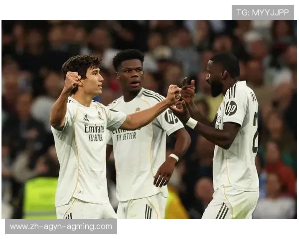 西甲联赛外援：西甲联赛中的外援球员与球队表现