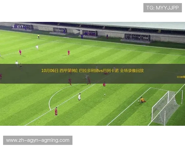 西甲联赛录像比赛录像：观看西甲联赛比赛录像的渠道与回放