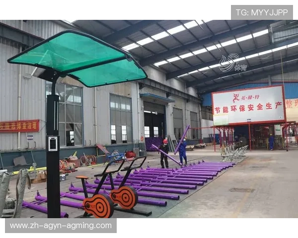 钢铁交响曲全球顶级健身器材视觉巡礼 钢铁交响曲全球顶级健身器材视觉巡礼